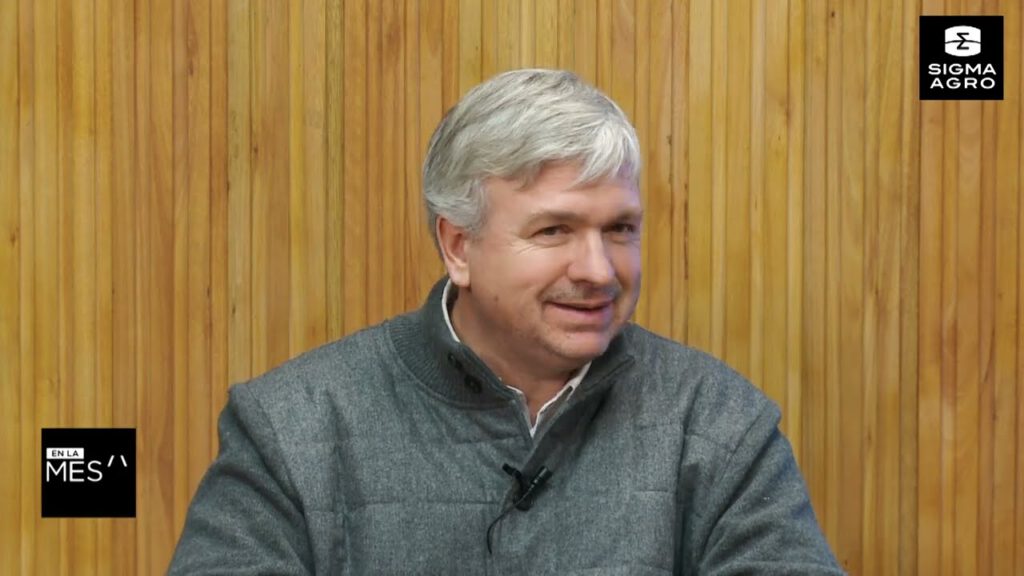 Desafíos y Oportunidades en la Campaña de Maíz en Argentina